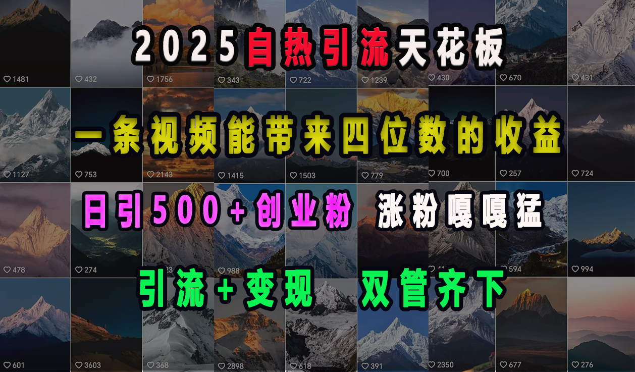 2025自热引流天花板，一条视频能带来四位数的收益，引流+变现双管齐下，日引500+创业粉，涨粉嘎嘎猛富创吧-网创项目资源站-副业项目-创业项目-搞钱项目富创吧