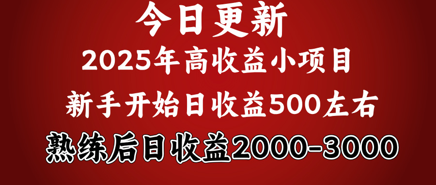 2025开年好项目，新手日收益500+ 熟练掌握后，日收益平均2000多富创吧-网创项目资源站-副业项目-创业项目-搞钱项目富创吧
